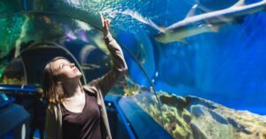 aquarium instagram captions