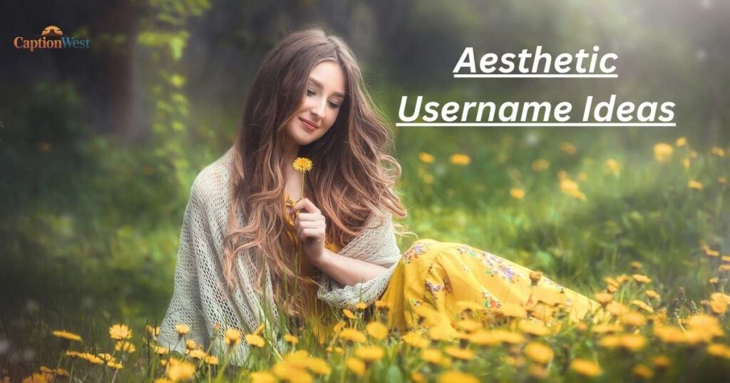 830+ Trending Aesthetic Username Ideas to Make Your Account
