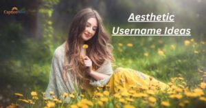 aesthetic username ideas