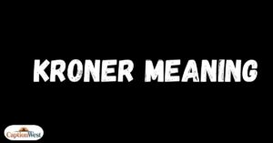 kroner meaning